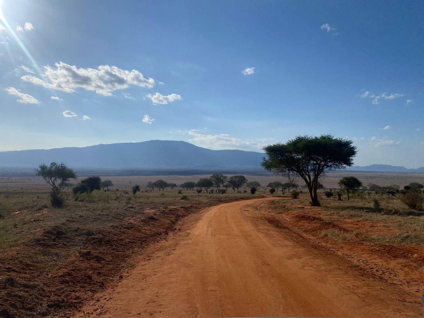 Kenya - foto 5
