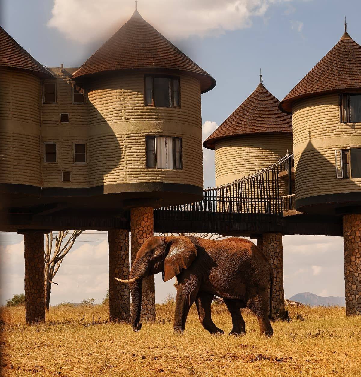 Taita Hills Wildlife Sanctuary