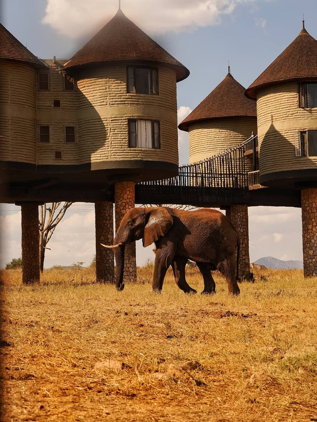 Amboseli, Taita Hills e Tsavo Est